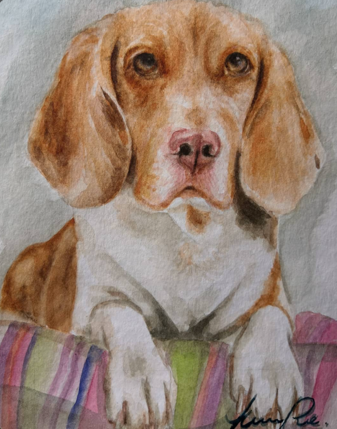 Retrato por encargo de un perro de pelaje dorado y blanco