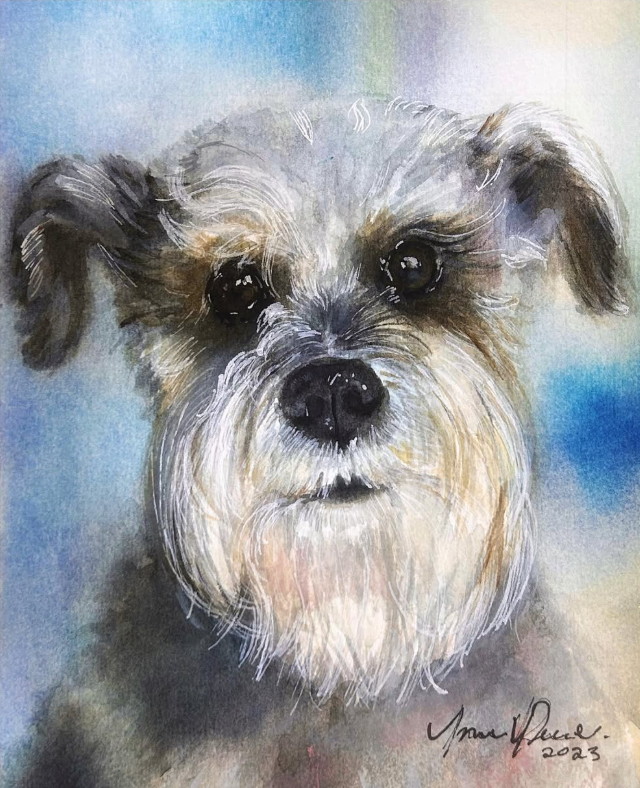 Retrato por encargo de un perro de pelaje gris sobre un fondo azul