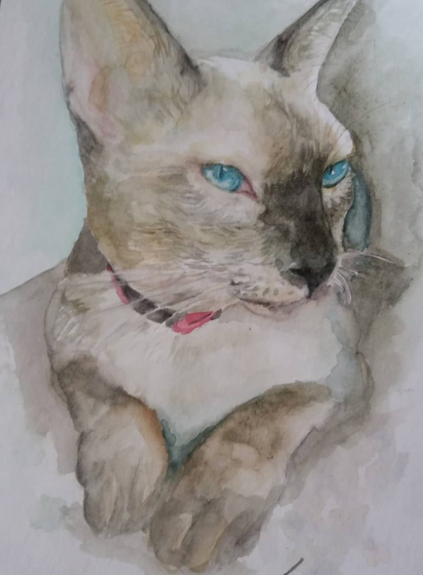 Retrato por encargo de un gato de ojos azules